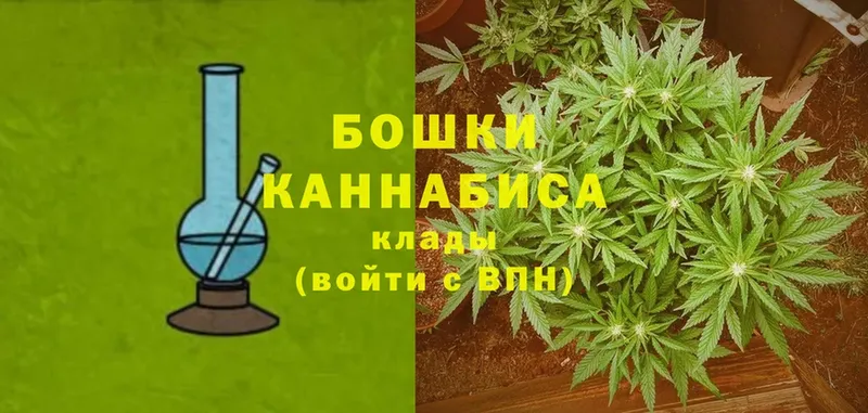 цена   Уржум  Бошки Шишки сатива 